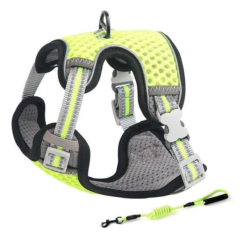 🐱 Cat Harness & Leash Set 🐾 Adjustable & Escape-Proof Design