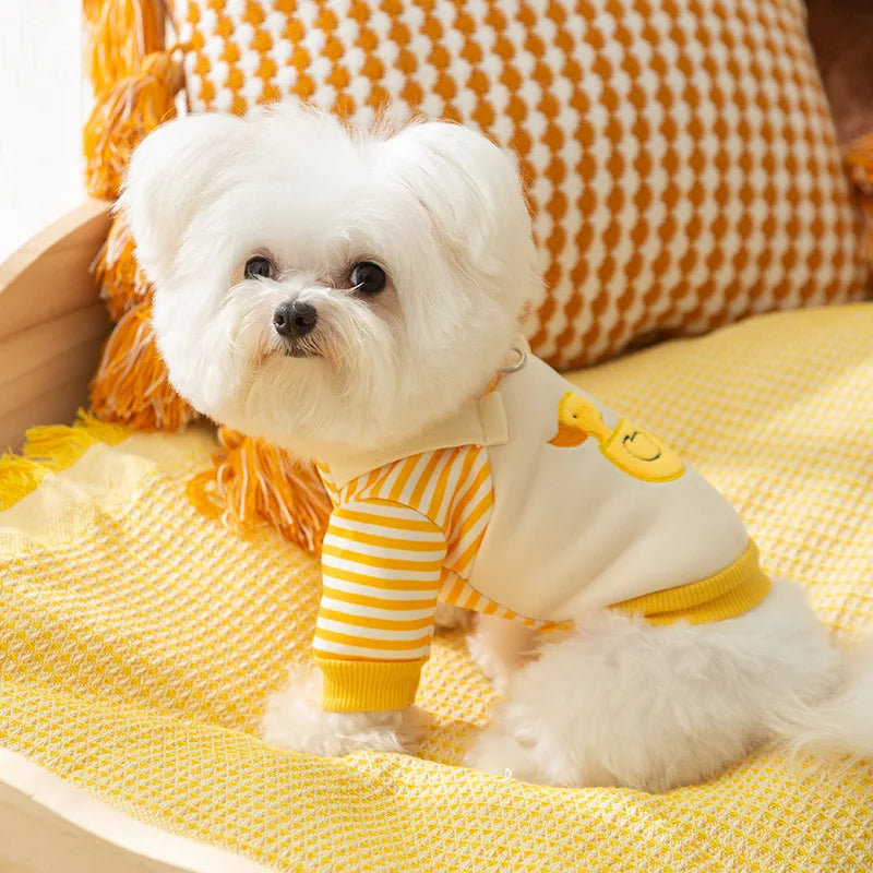🐕 Cute Duck Hoodie for Small Dogs & Cats – Soft, Stylish & Comfy!