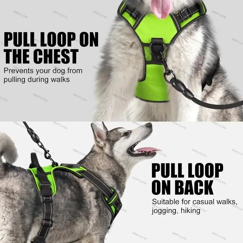 💡 LED Light Up Dog Harness – Adjustable No Pull Vest for Night Walks 🐾