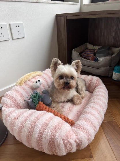 🛋️ Soft Sofa-Style Pet Bed 🐶 Warm & Stylish Winter Nest for Small Dogs & Cats