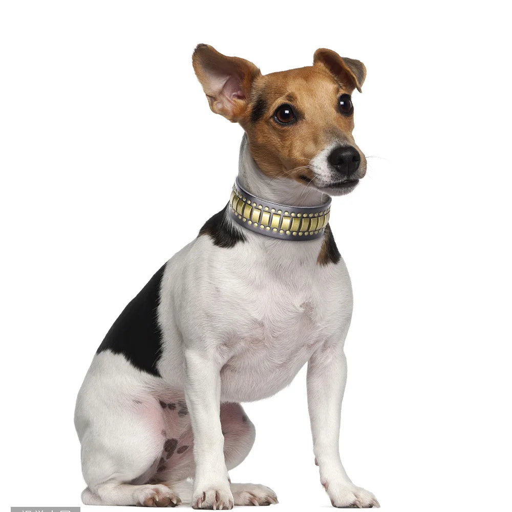 💎 Leather Dog Collar 🐶 Wide Rivet Design for Medium & Large Dogs