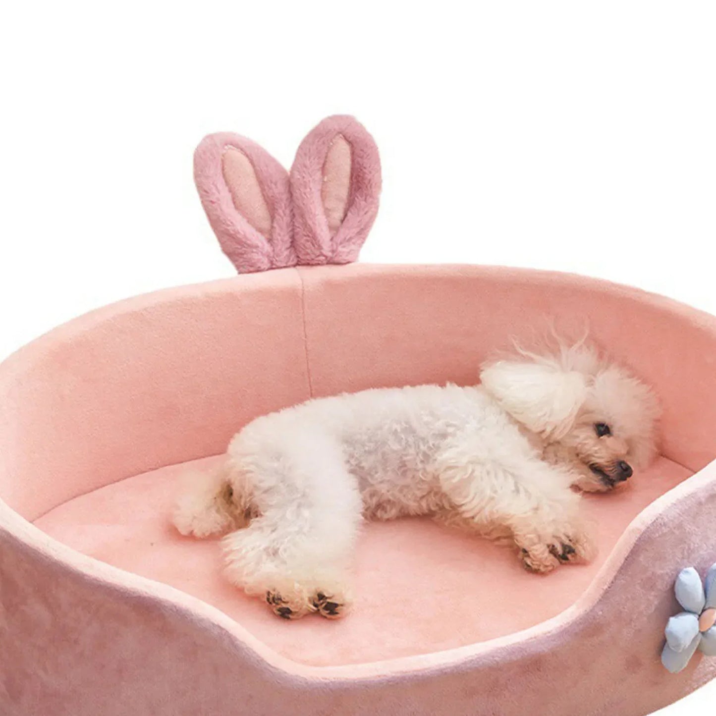 🐾 Soft Detachable Pet Bed 💖 Washable All-Season Bed for Small Dogs & Cats