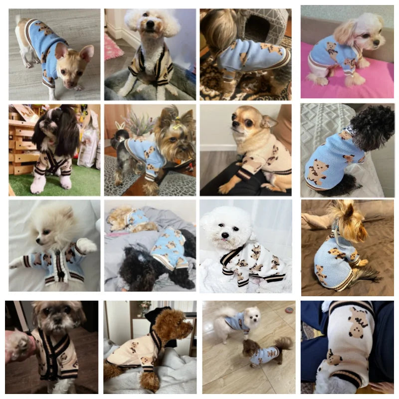 🧶 Striped Pet Sweater – Soft & Stylish Comfort for Small Pets