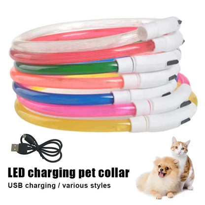 💡 LED Light-Up Dog Collar 🐕 USB Rechargeable & Cut-to-Fit | Night Safety