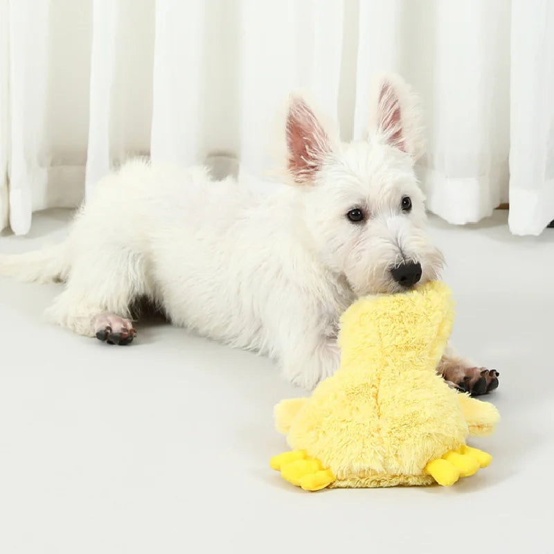 Plush Duck Dog Toy  🧸 Squeaky No-Stuffing Chew Toy for Puppies and Small Dogs