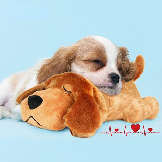 Dog cuddling with heartbeat simulation plush toy for sleep comfort
