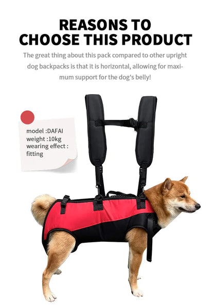 🎒 Pet Travel Backpack 🎈 Outdoor Dog & Cat Carrier 🐾
