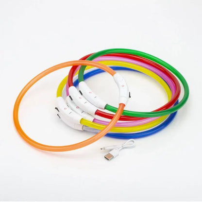 💡 LED Light-Up Dog Collar 🐕 USB Rechargeable & Cut-to-Fit | Night Safety