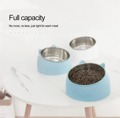 🐾 Stainless Steel Tilted Pet Bowl 🐾