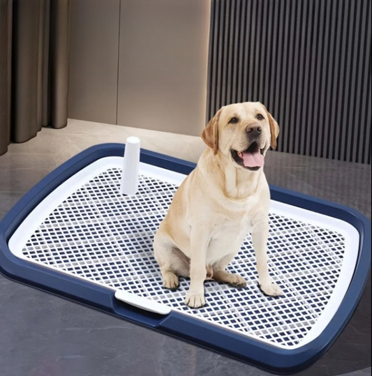 🐾 Reusable Dog Potty Toilet Tray with Mesh Net | Indoor Training Pad Holder 🐾