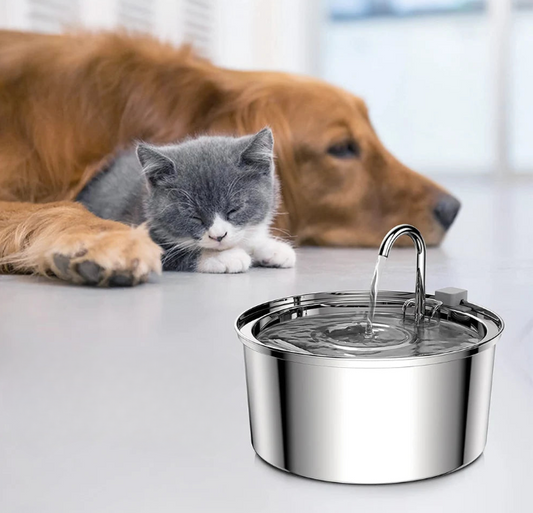 Smart stainless steel pet water fountain with USB, silent flow for cats and dogs

