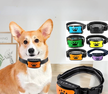 Adjustable USB rechargeable dog collar with sound and vibration feedback
