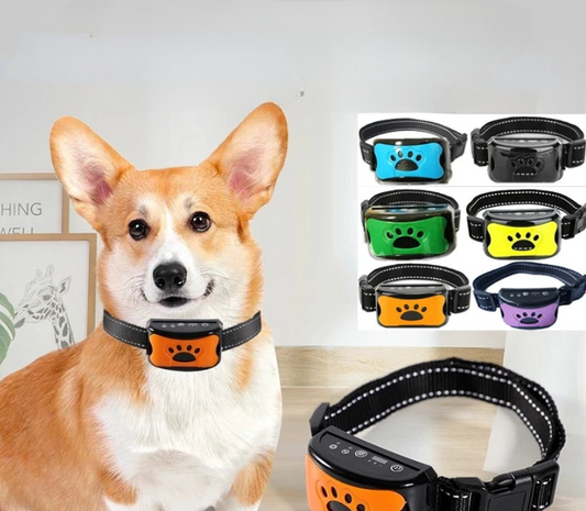 Adjustable USB rechargeable dog collar with sound and vibration feedback
