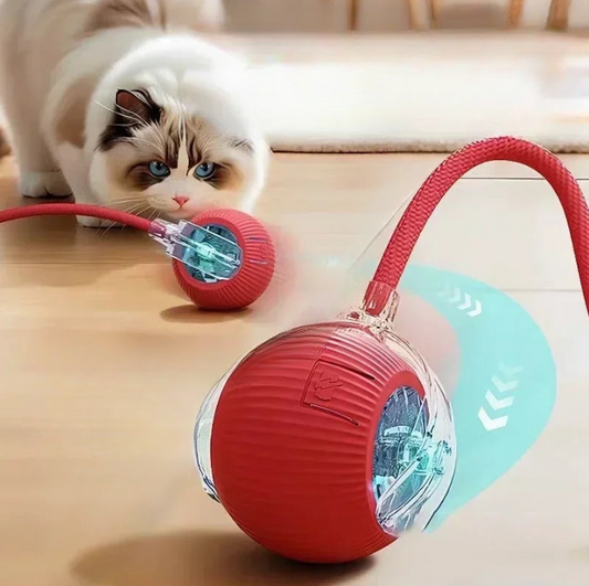 🧶 Rechargeable Cat Toy Ball ✨ Interactive Automatic Rolling Ball with Simulated Tail