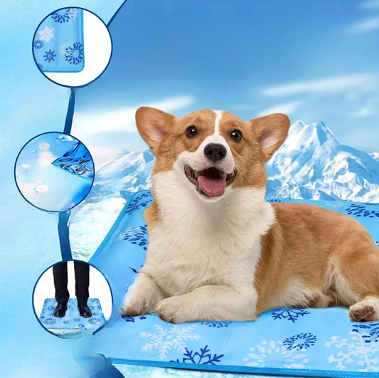 ❄️ Ice-Chill Dog Cooling Mat | Water-Filled Pad for Summer Relief 🐶🐱